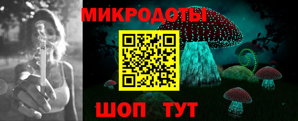 Псилоцибиновые грибы Psilocybe  Вход с VPN  Сибай 